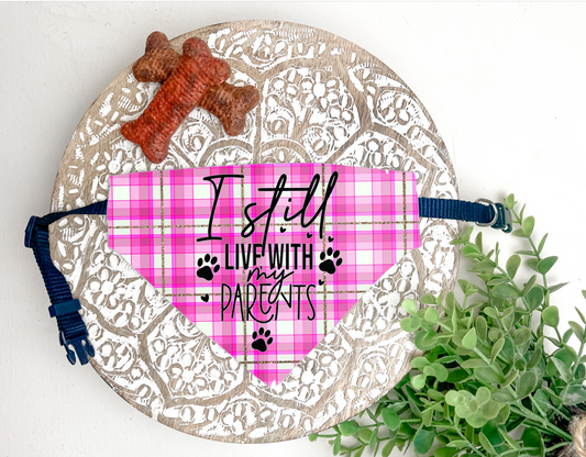 Dog Collar Bandana (I still live with my parents)