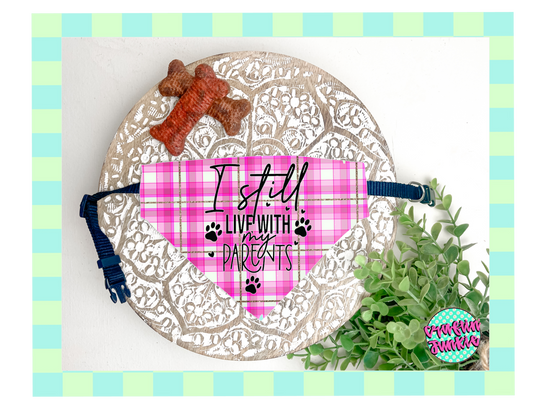 Dog Collar Bandana (I still live with my parents)