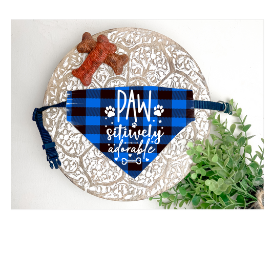 Dog Collar Bandana (Positively Adorable)