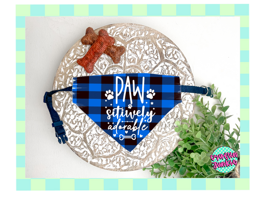Dog Collar Bandana (Positively Adorable)