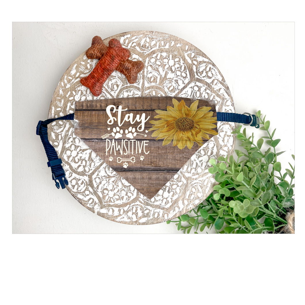 Dog Bandana Collar (Included) Stay Pawsitive