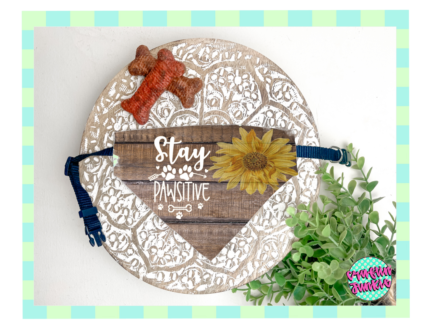 Dog Collar Bandana (Stay Positive)