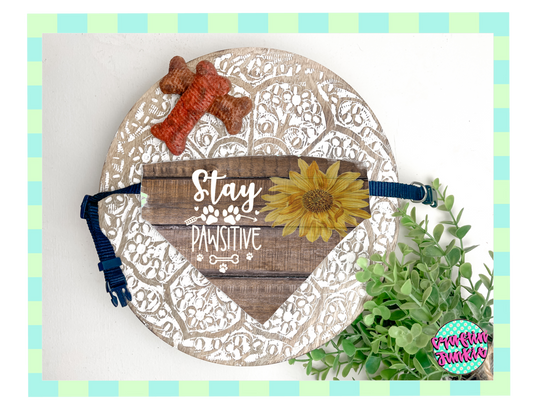 Dog Collar Bandana (Stay Positive)